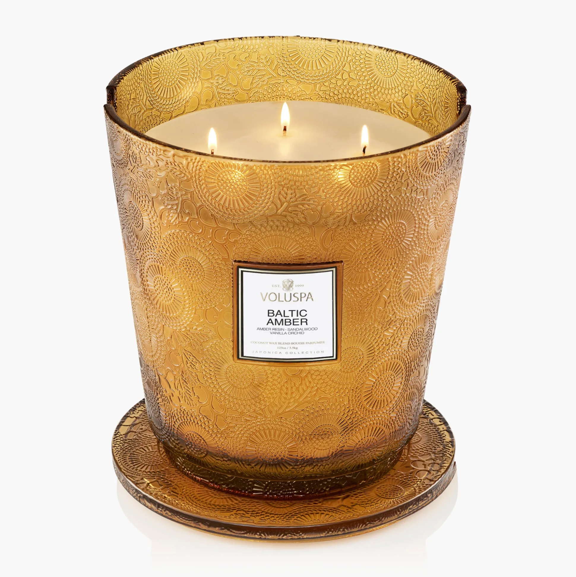 Baltic Amber