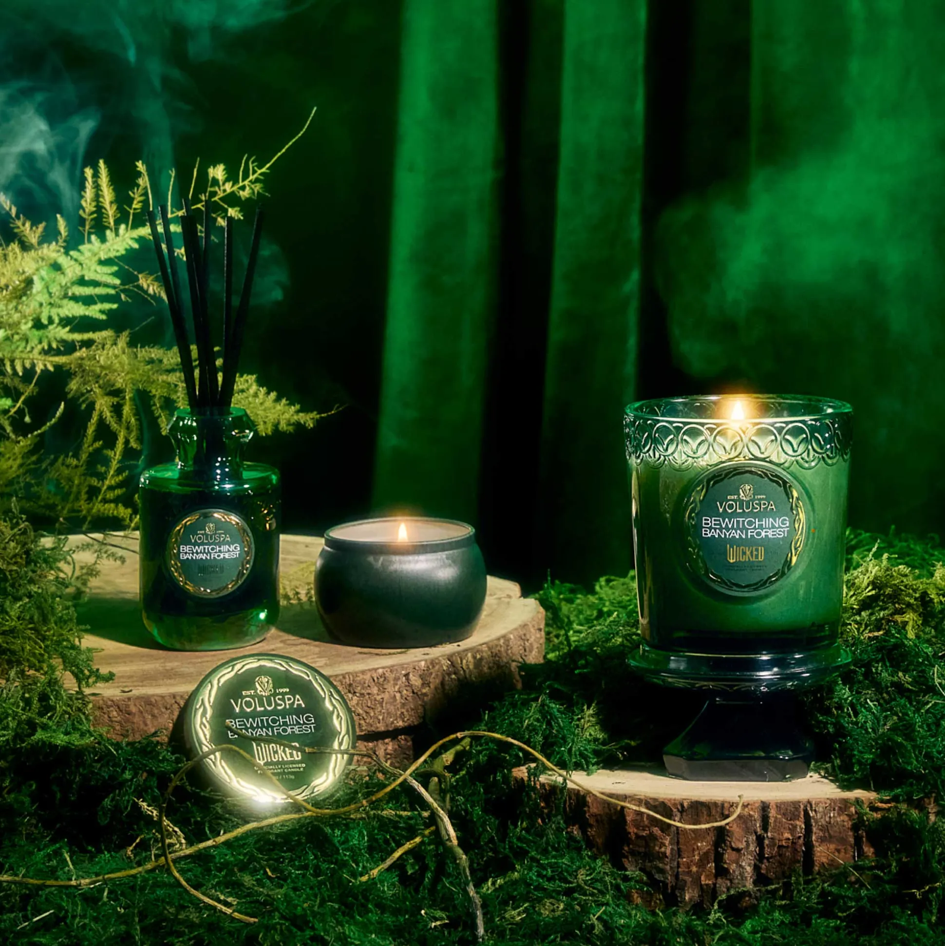 Bewitching Banyan Forest