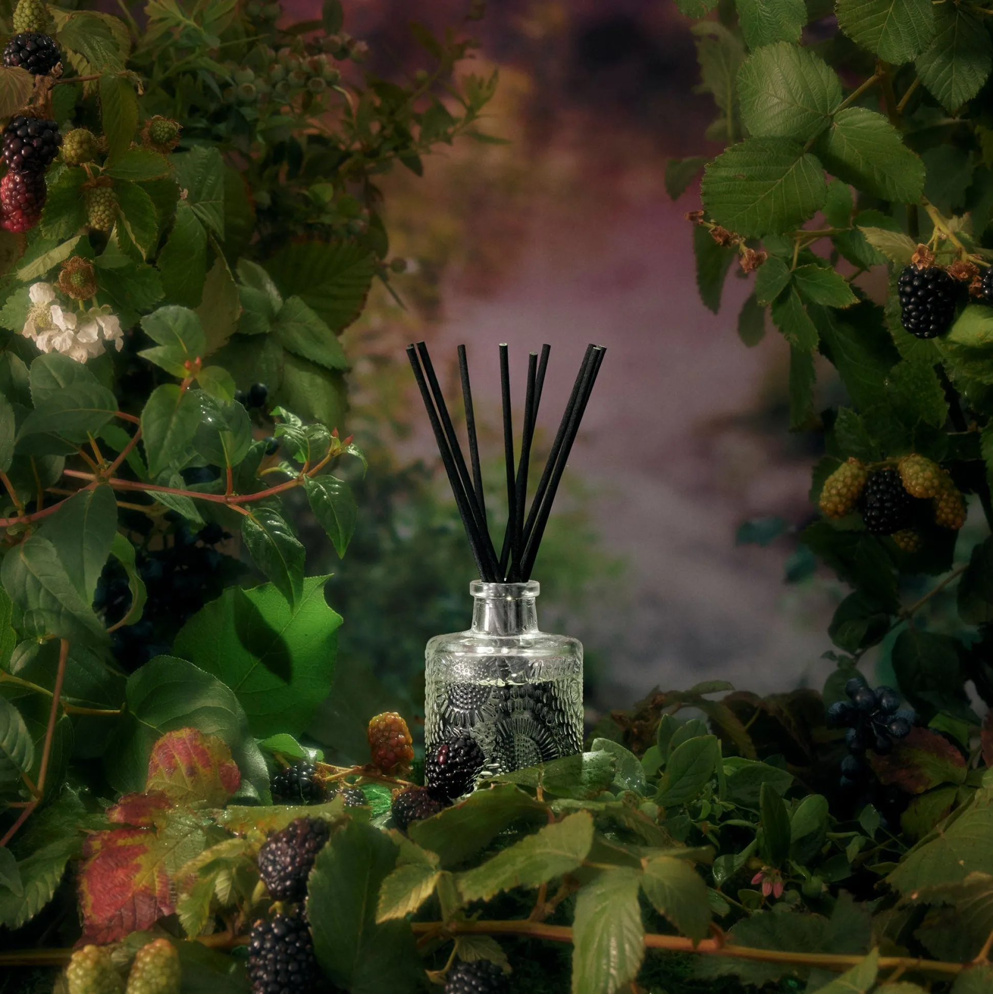 Foraged Wildberry