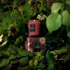 Foraged Wildberry