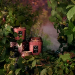 Foraged Wildberry