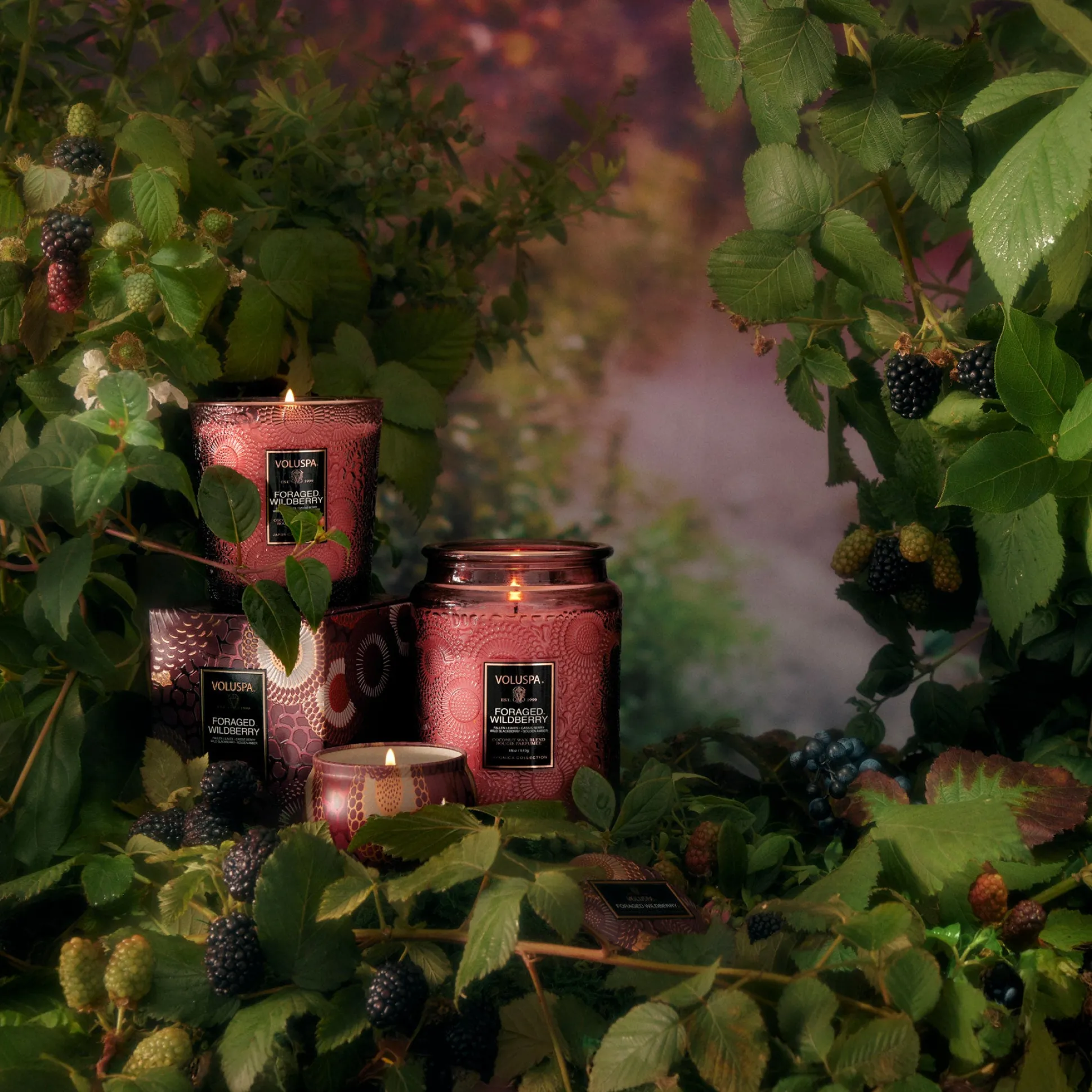 Foraged Wildberry