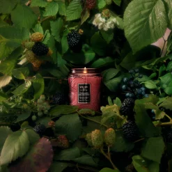 Foraged Wildberry