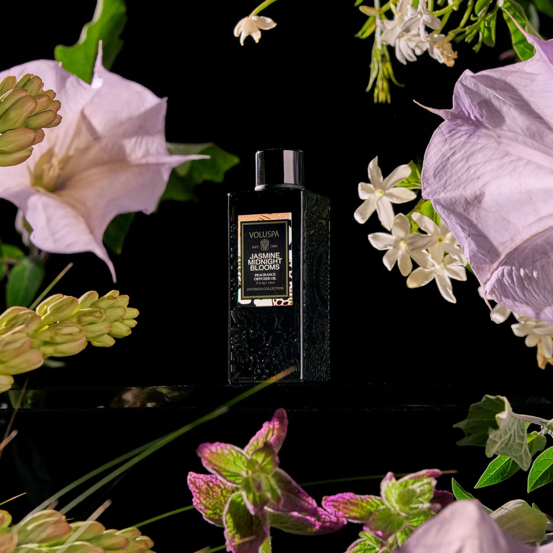 Jasmine Midnight Blooms