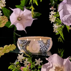 Jasmine Midnight Blooms