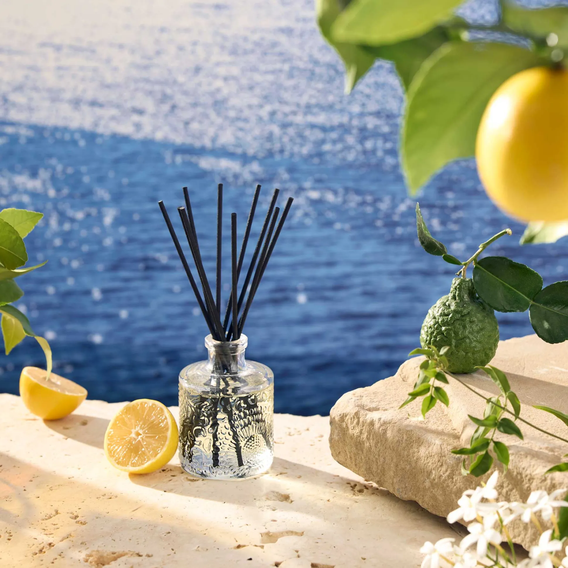Mediterranean Lemon