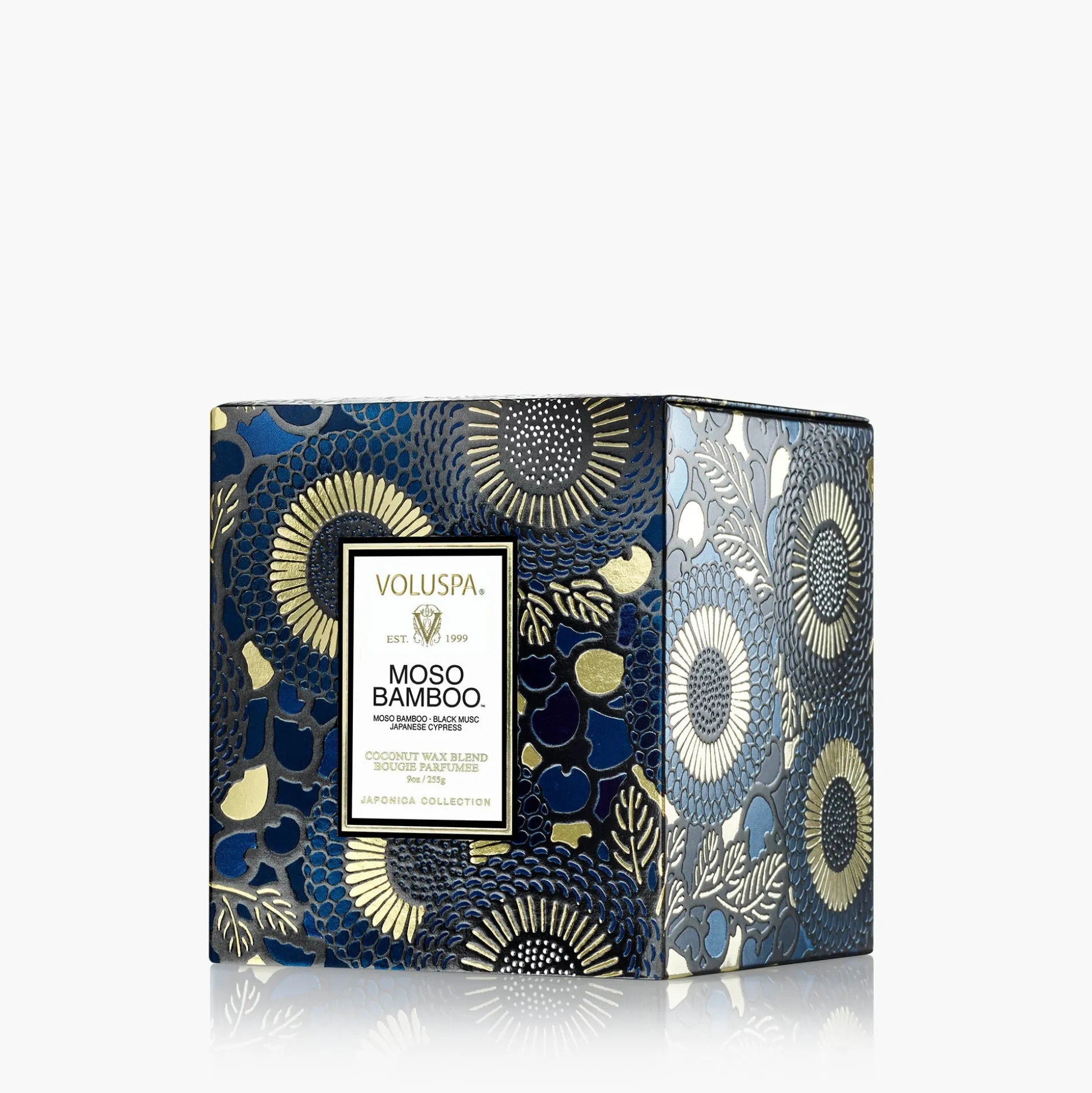 Moso Bamboo