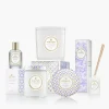 Mountain Lavender & Chamomile
