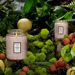 Panjore Lychee